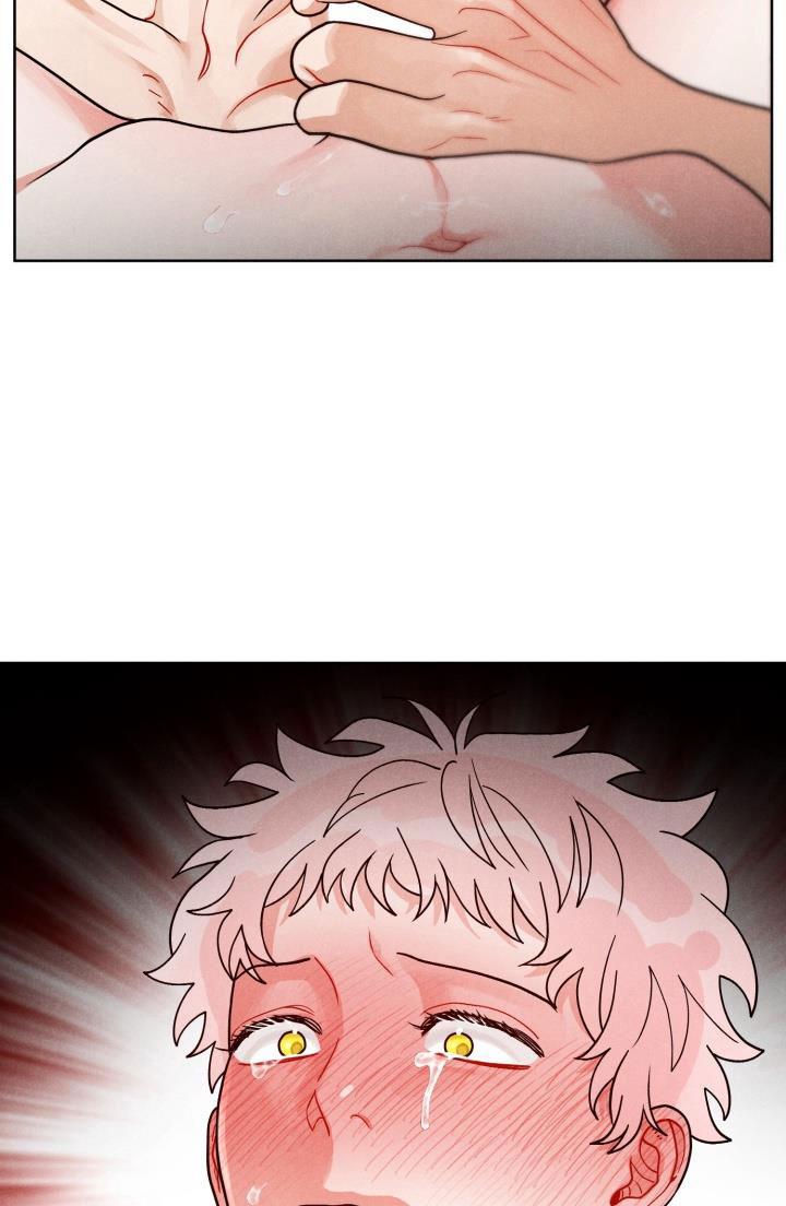 cuoc-goi-bi-mat-chap-8-11 integer