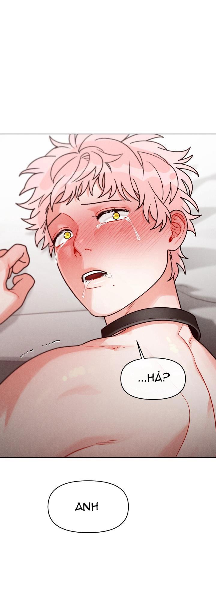 cuoc-goi-bi-mat-chap-8-29 integer