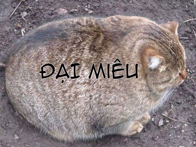 hai-ong-anh-ru-nhau-lam-thit-toi-chap-12-0 integer