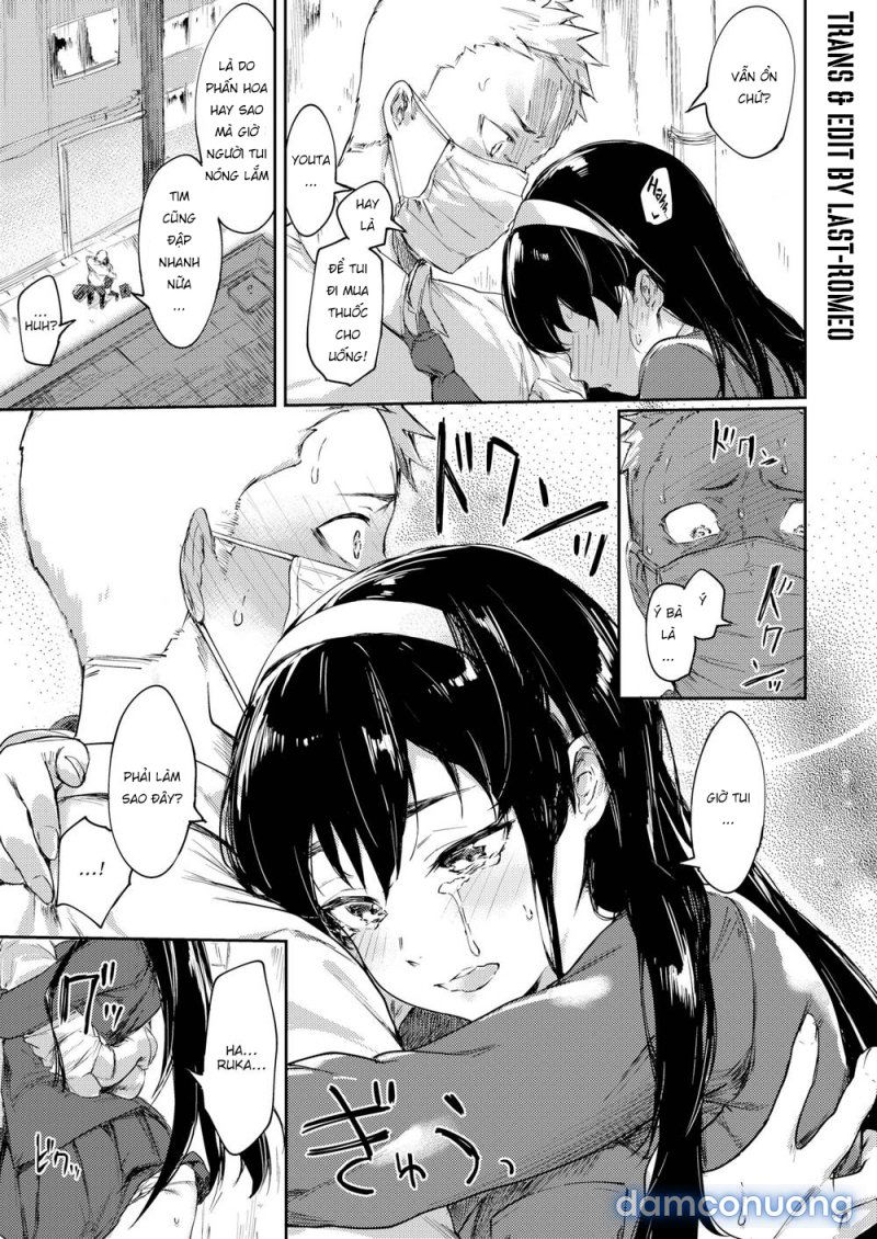 mua-phan-hoa-dong-duc-chap-1-4 integer