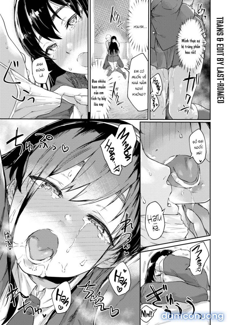 mua-phan-hoa-dong-duc-chap-1-6 integer