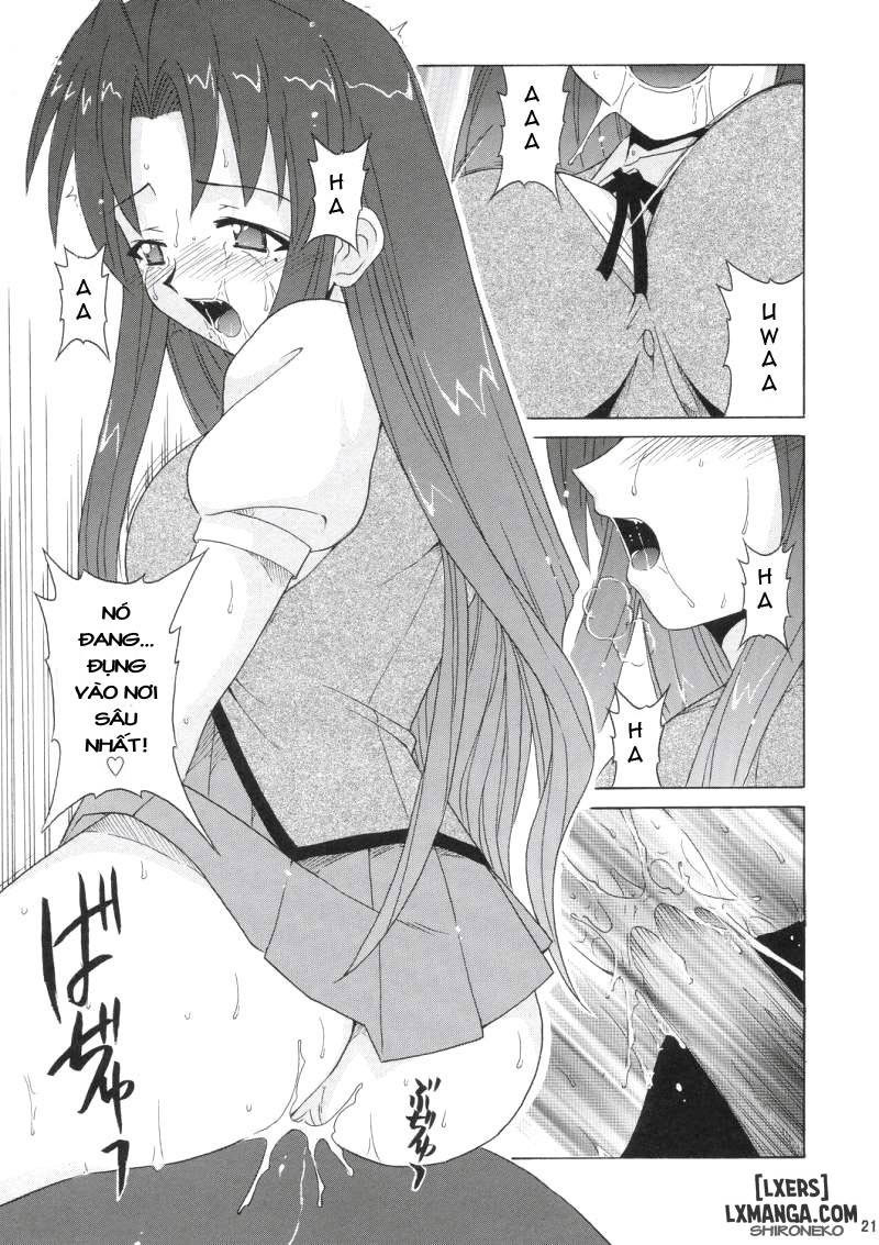 if-code-05-chap-1-19 integer