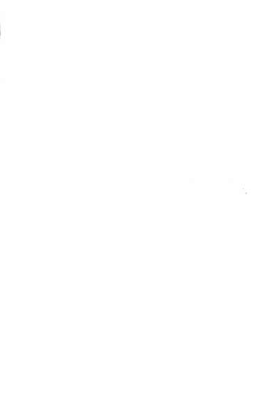 suki-na-hito-ni-kawaii-tte-iwareru-to-watashi-torotoro-ni-chap-1-1 integer