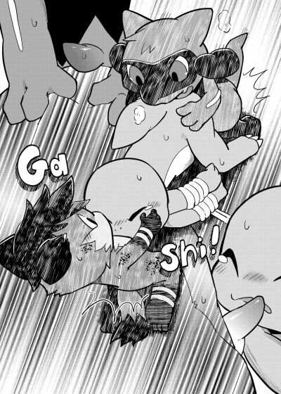 lumo-x-riolu-episode-3-pokemon-chap-1-6 integer