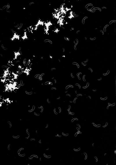 happy-end-chap-1-20 integer