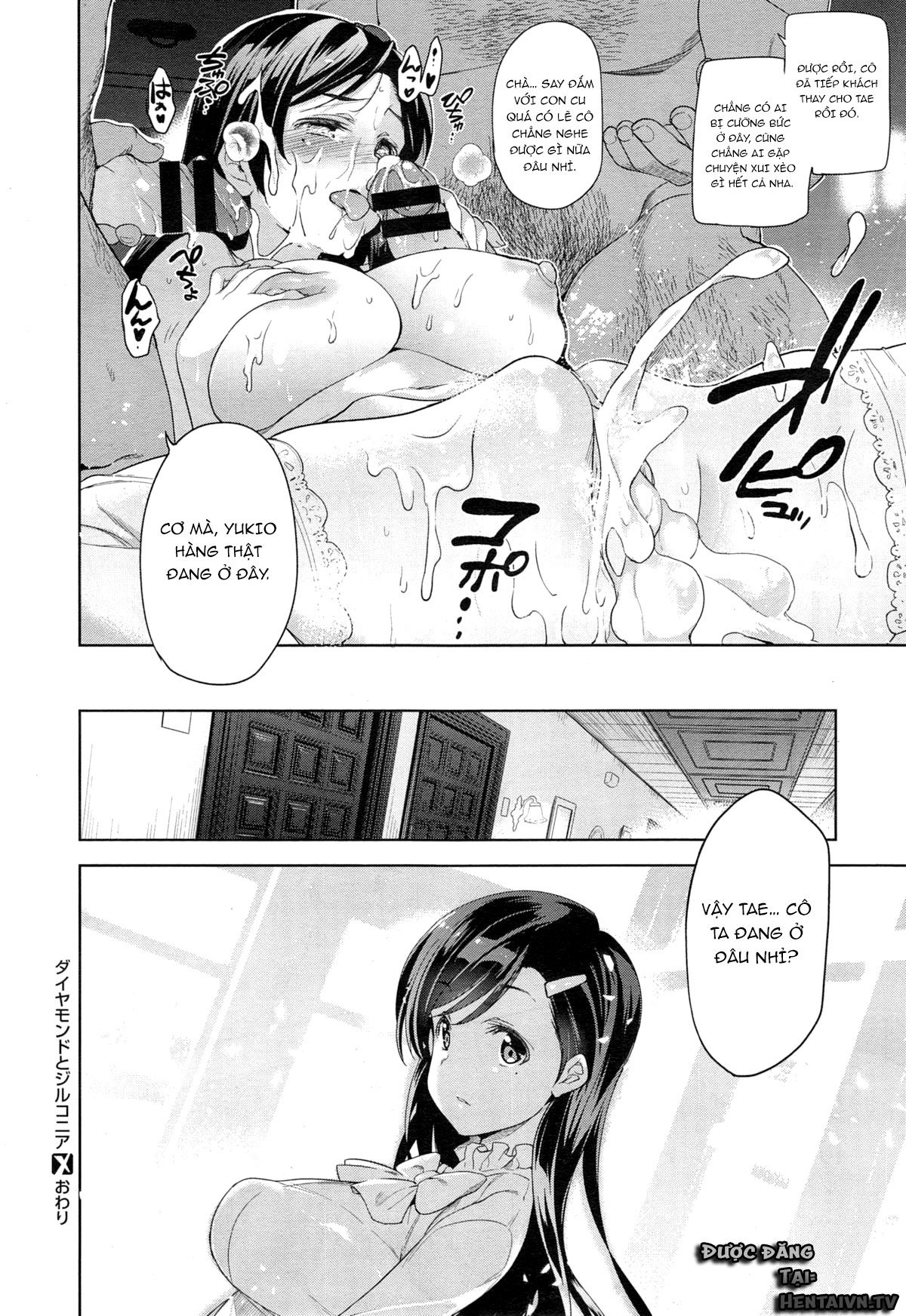 diamond-amp-zirconia-chap-1-31 integer