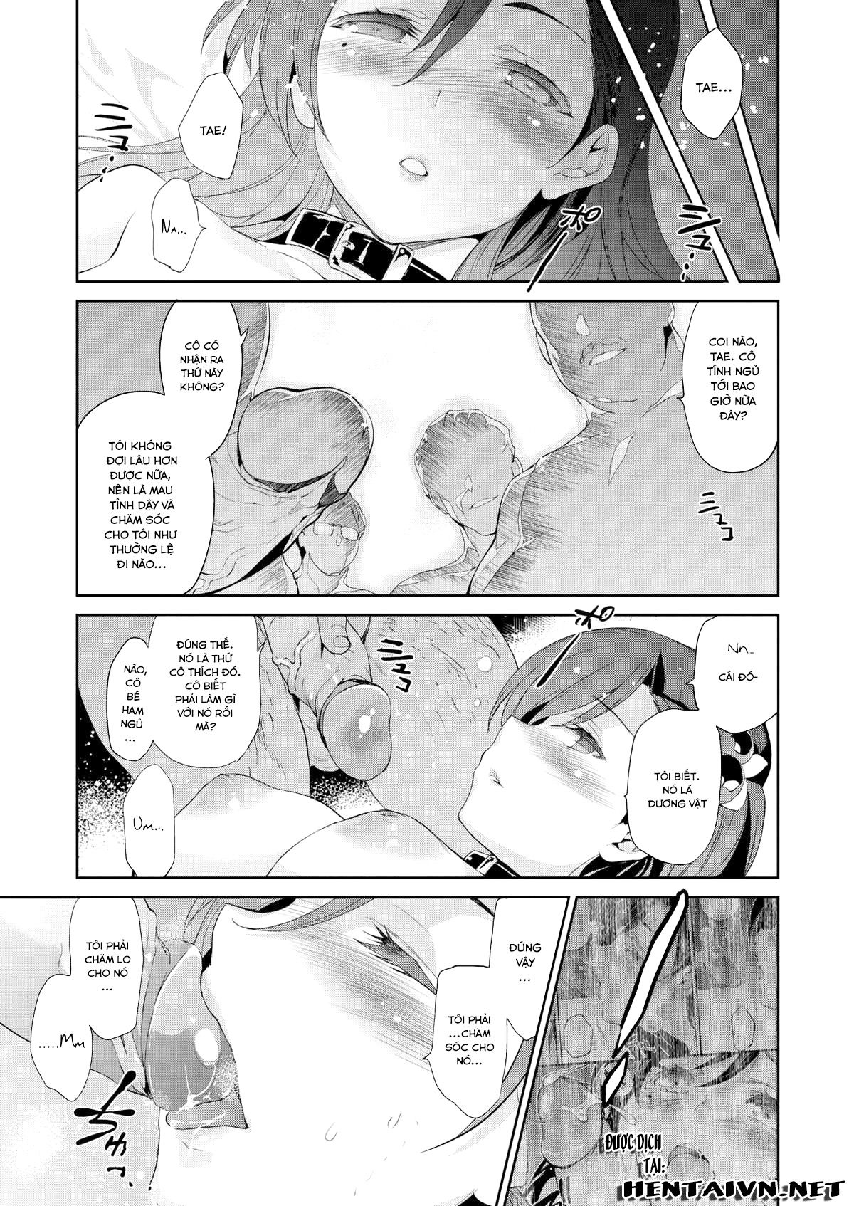 diamond-amp-zirconia-chap-3-4 integer