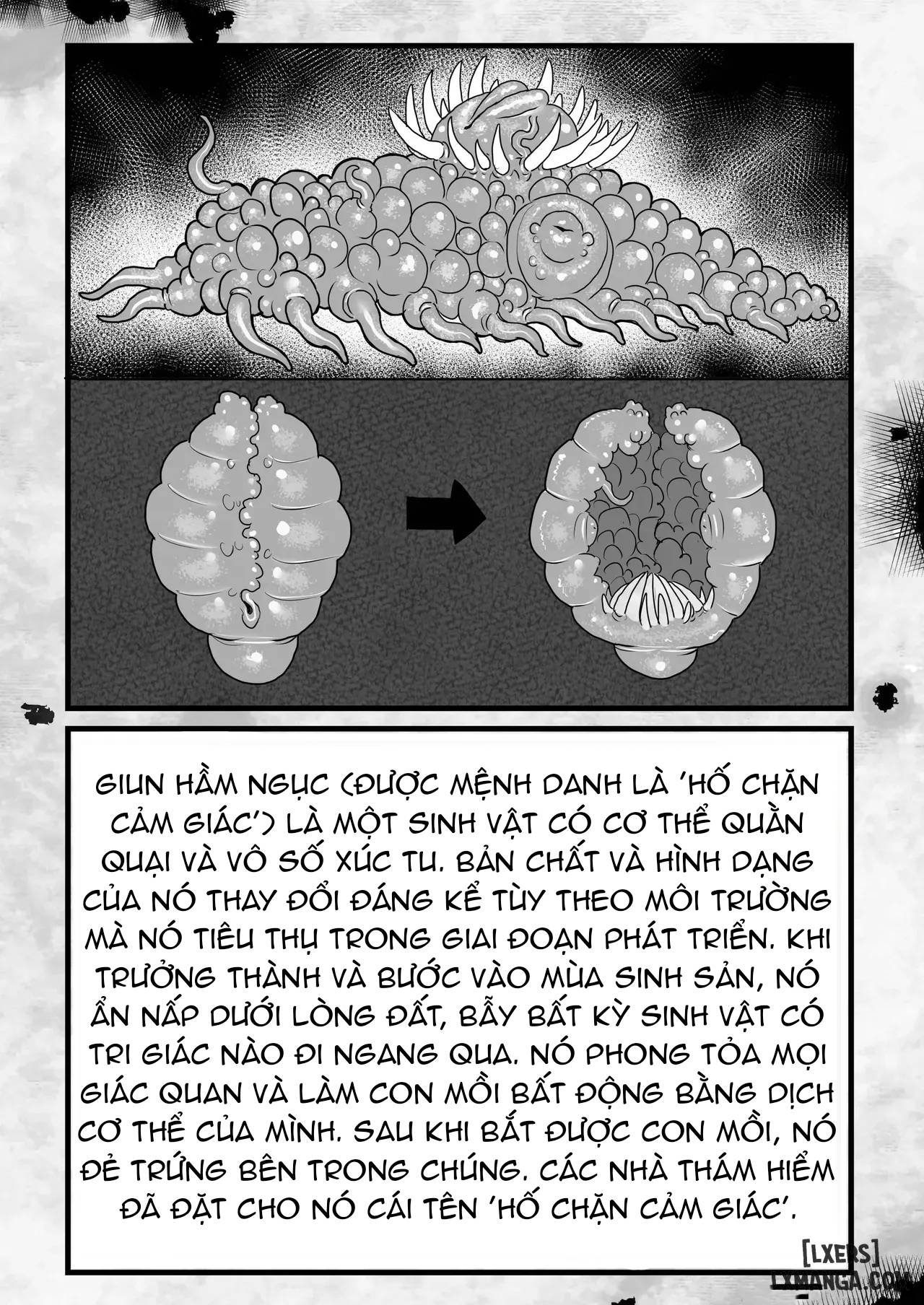 frieren-and-the-sensory-deprivation-hole-chap-2-13 integer