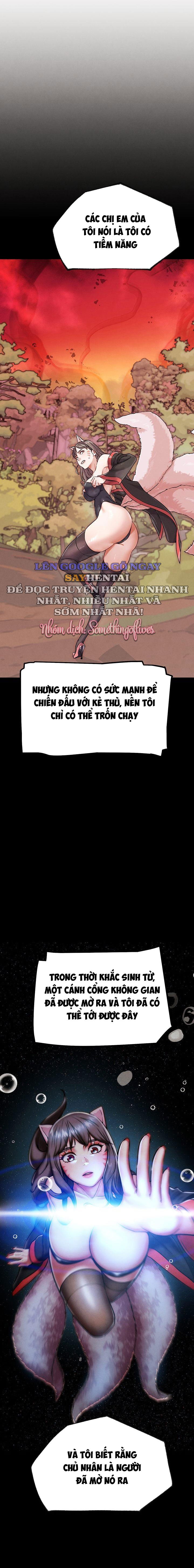 che-do-doi-khang-doi-thuc-chap-17-10 integer