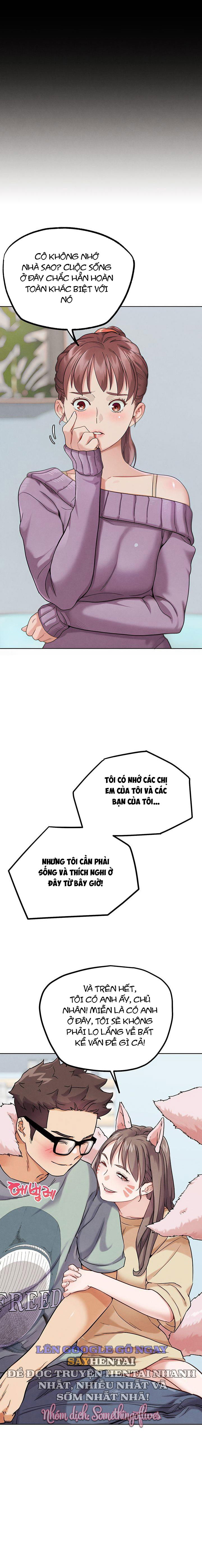 che-do-doi-khang-doi-thuc-chap-17-11 integer