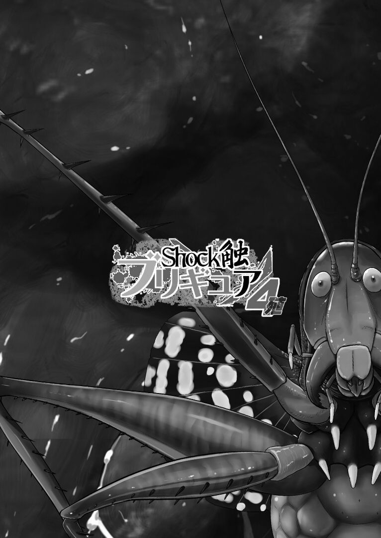 soc-xuc-tu-bregure-phan-4-chap-2-19 integer