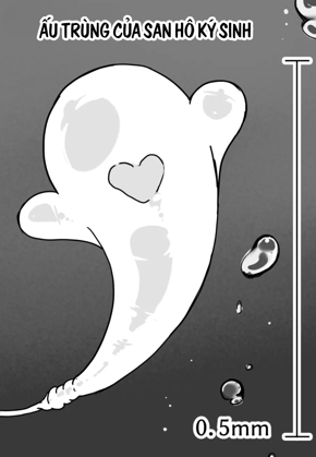 . kaikan kikan: kisei gata